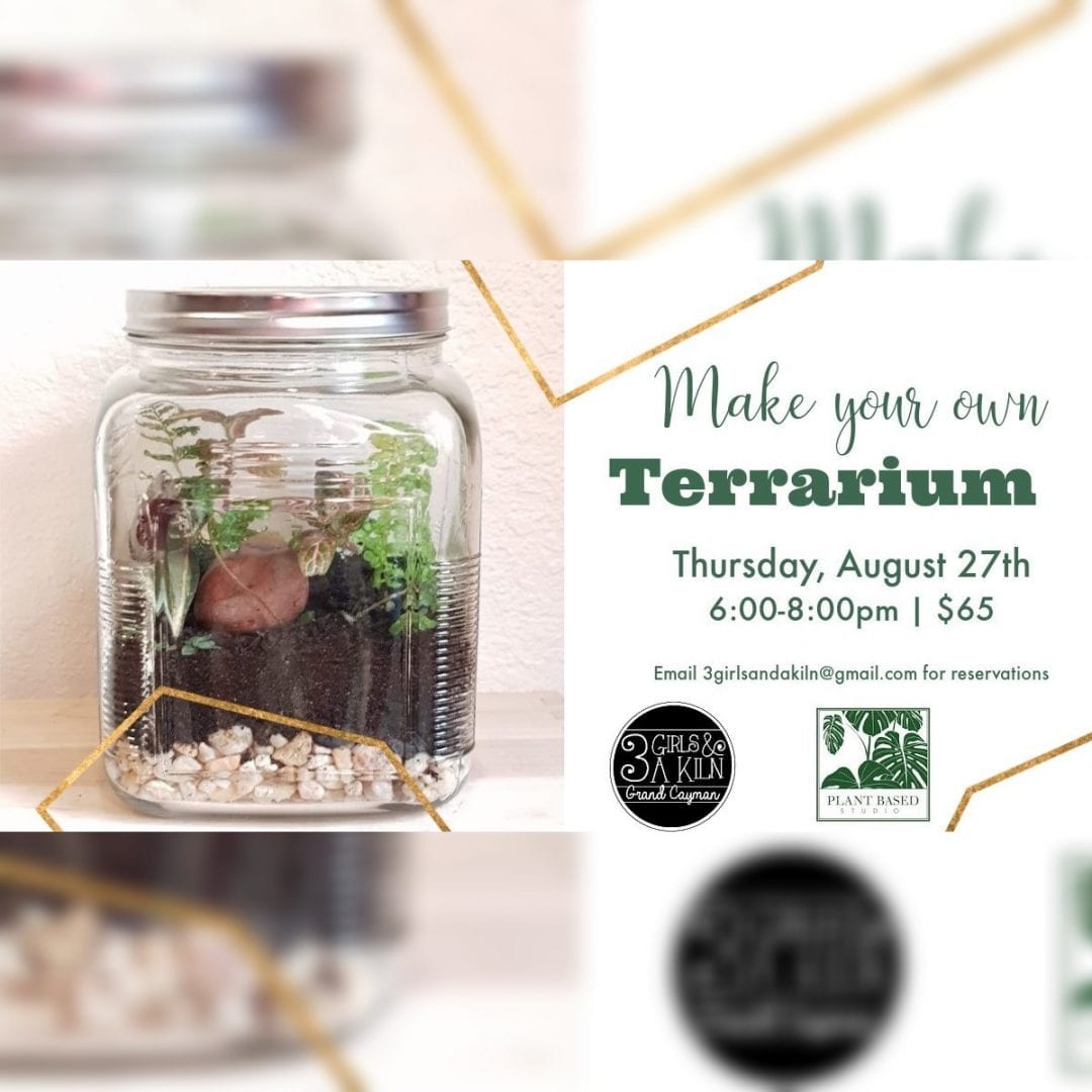 Closed Terrariums with PBS