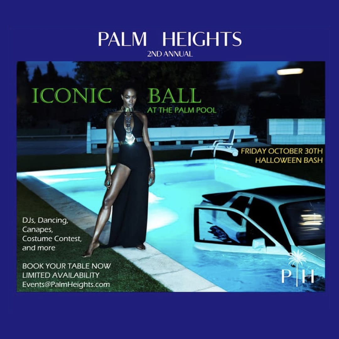 Palm Heights Iconic Costume Ball